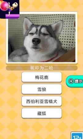 魔音球球游戏2021最新版