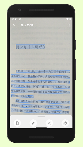 蜜蜂取字免费版
