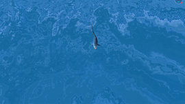 鲨鱼模拟狙击游戏中文版