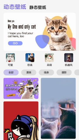 可爱喵喵壁纸大全app最新版