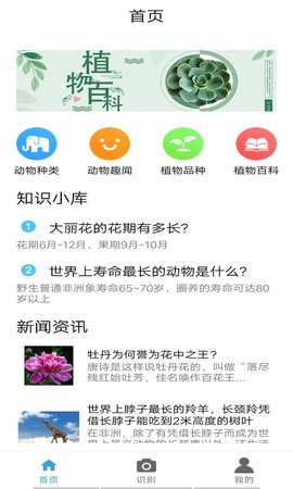丛林宝典app