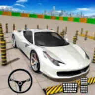 疯狂的停车场3D游戏最新版