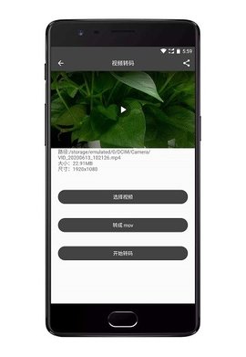 集影视频工具箱旧版
