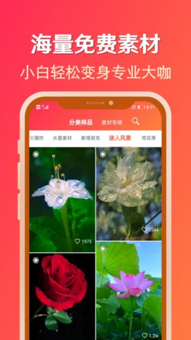 淘素材最新版