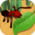 蚂蚁进化3D游戏官方正版