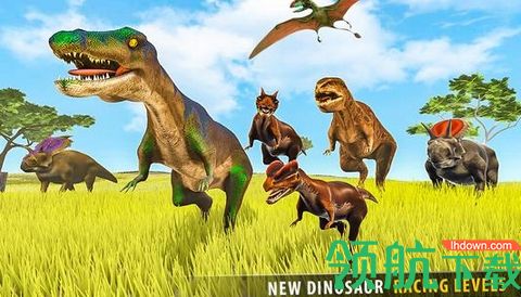 热带草原动物赛跑3D游戏免费版