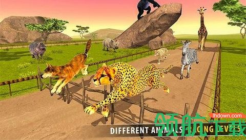 热带草原动物赛跑3D游戏安卓版下载