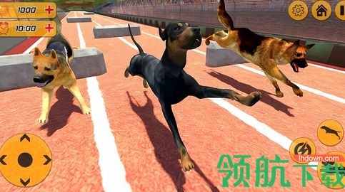 警犬跨栏冲刺完整版