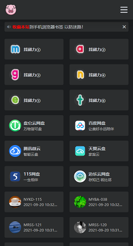bt磁力猪最新版本