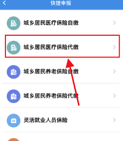4,点击第二个【城乡居民医疗保险代缴】进入;3,进入主页面之后,点击
