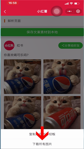 小红书国际版app