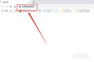甘肃省政务服务网统一支付公共平台