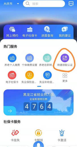 龙江人社养老认证app