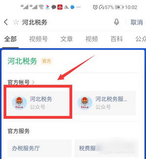 河北税务app医疗保险缴费平台