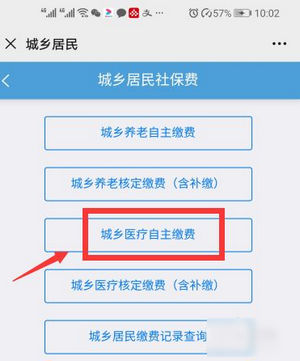 河北税务app医疗保险缴费平台