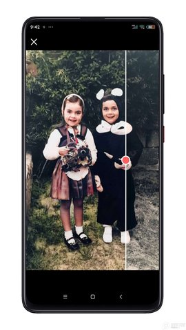 Colorize汉化破解版