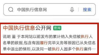 中国执行信息网(智慧执行)APP