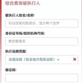 中国执行信息网(智慧执行)APP