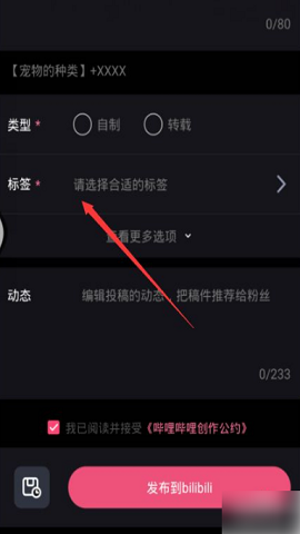 必剪老版本
