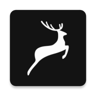 绿幕大师去广告版APP