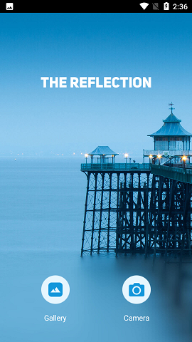 Reflection汉化破解版