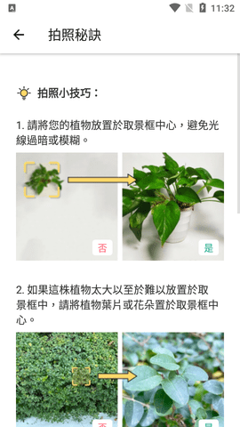 PictureThis中文破解版