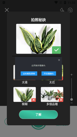 PictureThis中文破解版