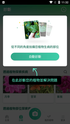 PictureThis中文破解版