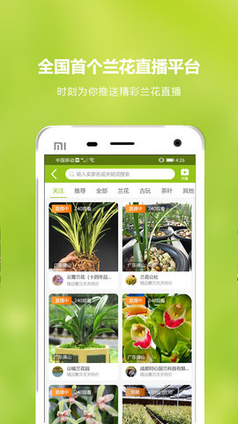 中国兰花交易网2022最新版