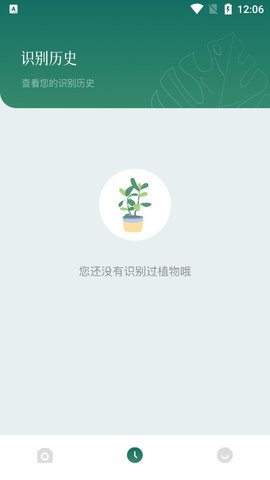 树林记忆