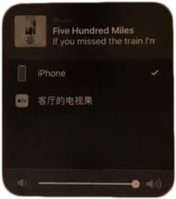 虾米音乐去广告精简版