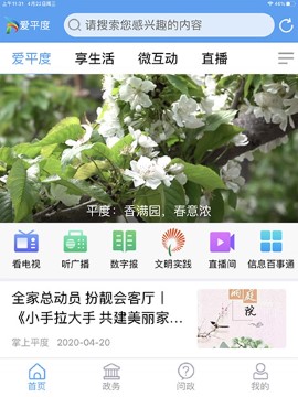 爱平度app本地服务app