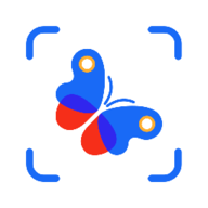 Picture Insect昆虫识别APP