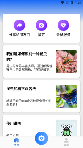 Picture Insect昆虫识别APP