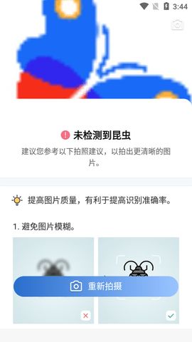 Picture Insect昆虫识别APP