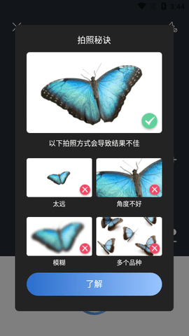 Picture Insect昆虫识别APP