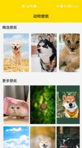 兔子表情包斗图软件