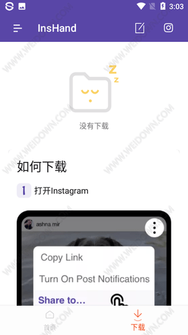 InsHand下载器最新版本