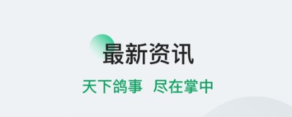 信鸽信息网足球环号查询APP