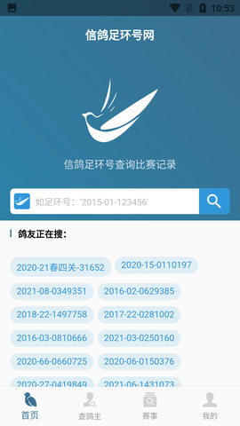 信鸽信息网足球环号查询APP