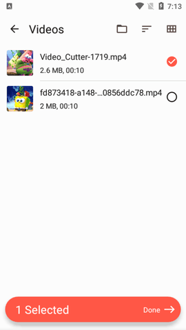 Video Converter破解版