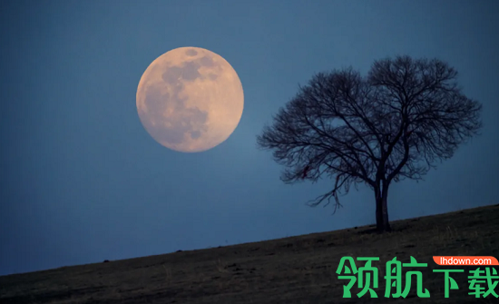 Pixomatic拼图呀最新版本
