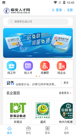 临安人才网