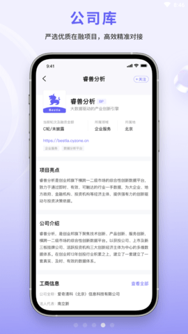 睿兽分析