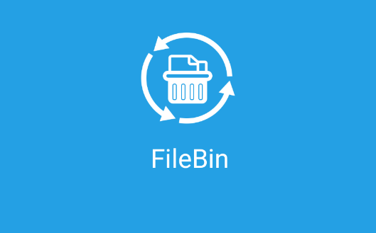 FileBin安卓免费版