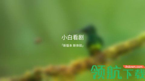 小白看剧官方版