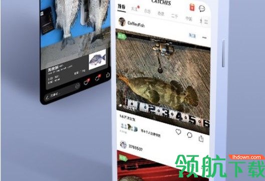 渔获海上风力海浪预报