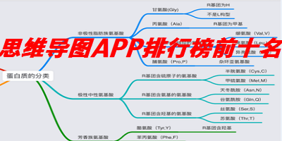 思维导图APP排行榜前十名