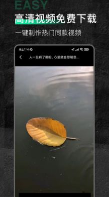 口袋今日素材免费版