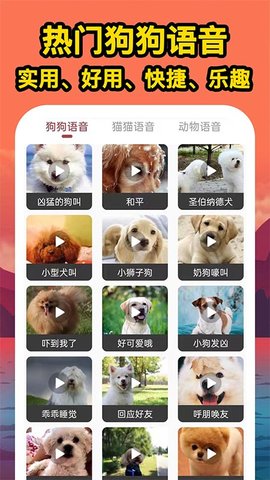 人人猫狗翻译交流器免费版
